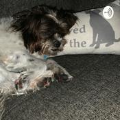 Podcast Bulls On Parade