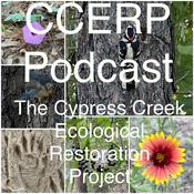 Podcast CCERP Podcast
