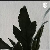 Podcast Ceritarumah