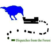 Podcast Dispatches from the Forest