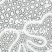 Podcast Docencia Experiencial