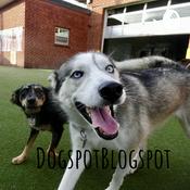 Podcast DogspotBlogspot