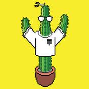 Podcast Du numérique à la brique