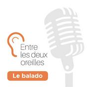 Podcast Entre Les Deux Oreilles - Le balado en santé mentale