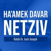Podcast Ha’amek Davar - Netziv by Rabbi Dr. Josh Joseph