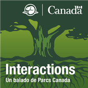 Podcast Interactions