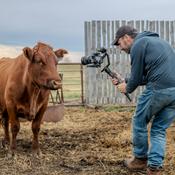 Podcast Kerry Mann: Carnivore Saves Lives