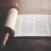 Podcast The Daily Tanach Podcast