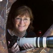 Podcast Laura Erickson's For the Birds