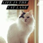 Podcast Life in the Cat Lane