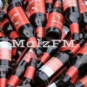 Podcast MalzFM - Biergespräche