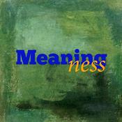Podcast Meaningness Podcast