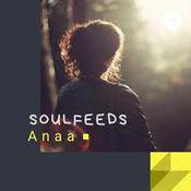 Podcast Soulfeeds