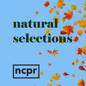 Podcast Natural Selections