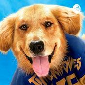 Podcast news Flash FM