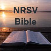 Podcast NRSV Bible