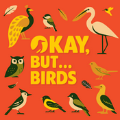 Podcast Okay, But... Birds