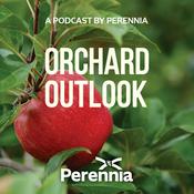 Podcast Orchard Outlook