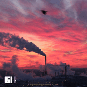 Podcast От уральского золота до медной мечети: Путешествие в Верхнюю Пышму