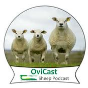 Podcast OviCast