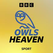 Podcast Owls Heaven: A Sheffield Wednesday Podcast