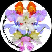 Podcast Plants are People too: Botany Podcast