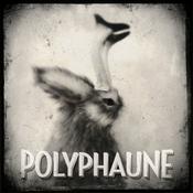 Podcast Polyphaunes