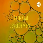 Podcast Prenatal development