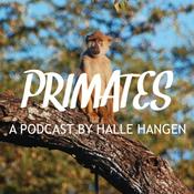 Podcast Primates