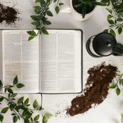 Podcast Audio Bible (KJV)