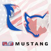 Podcast Rollin in my 5.0 - Foxbody Talk with KASL Customs and The Infamous Project