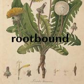 Podcast rootbound