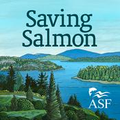Podcast Saving Salmon