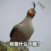 Podcast 【内涵段子】名人脱口秀现场录制