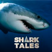 Podcast Shark Tales