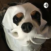 Podcast Snoring Dog Ghost Investigations (2020)