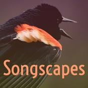 Podcast Songscapes