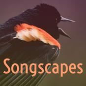 Podcast Songscapes