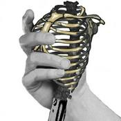 Podcast The Soulosophy Podcast - Download, Uplift.