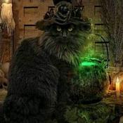Podcast Stirring the Cauldron