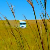 Podcast Tallgrass Prairie National Preserve Podcast Library