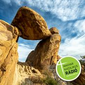 Podcast Támasz és talpkő