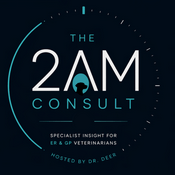 Podcast The 2AM Consult