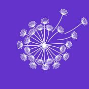 Podcast The Aunties Dandelion