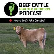 Podcast The Beef Cattle Health and Nutrition Podcast