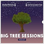 Podcast The Big Tree Sessions