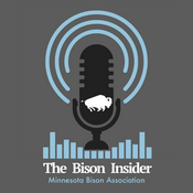 Podcast The Bison Insider
