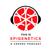 Podcast The CEEHRC Pod