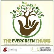 Podcast The Evergreen Thumb