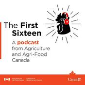 Podcast The First Sixteen